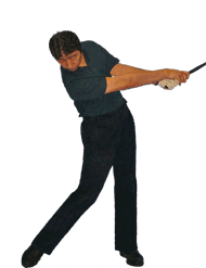 �S���t��B�@�̃X�C���O