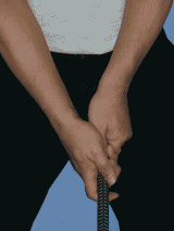 �S���t�X�C���O�O���b�v�����